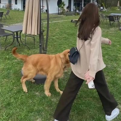 十字锁喉手